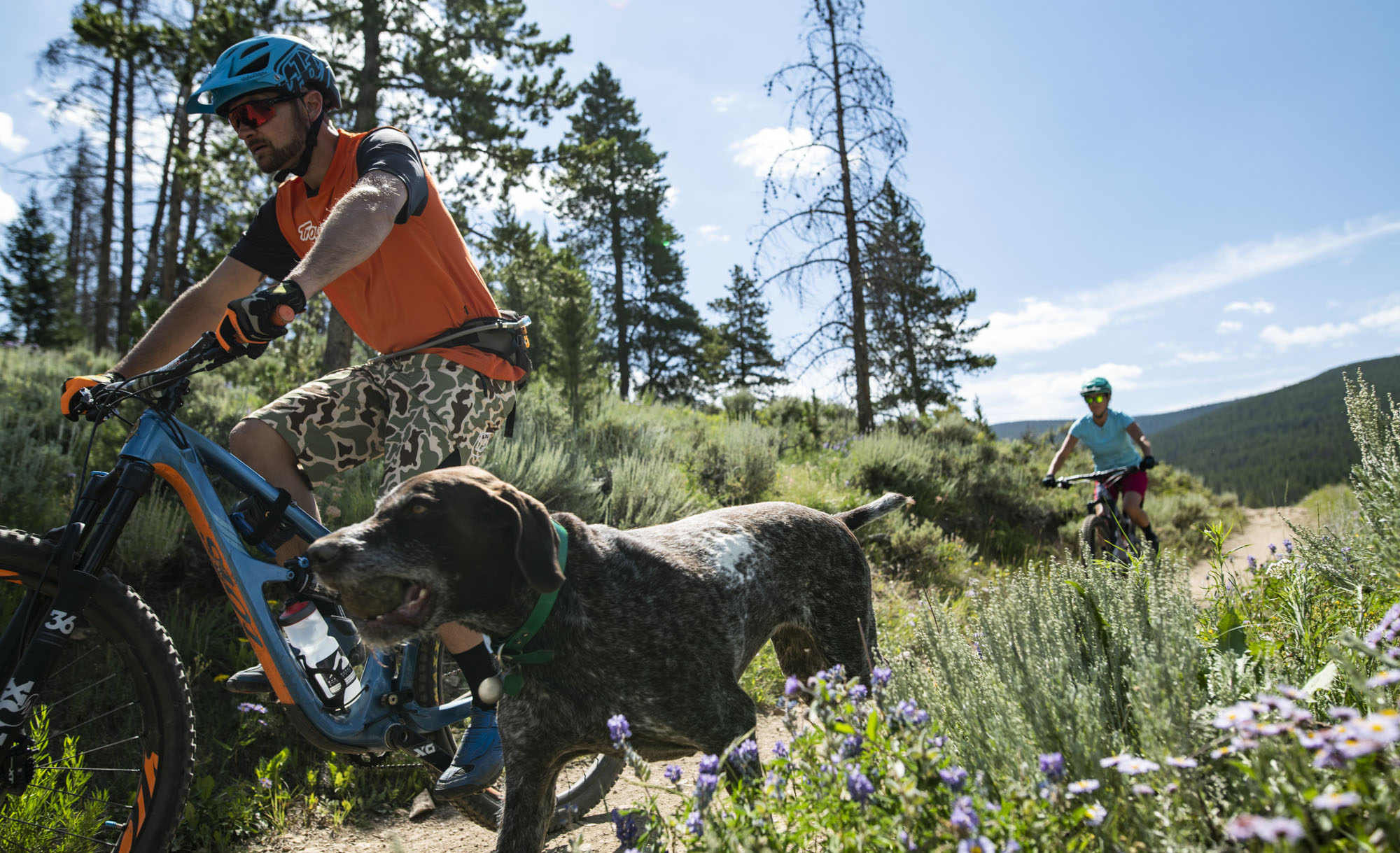 people biking on sunny trail with dog